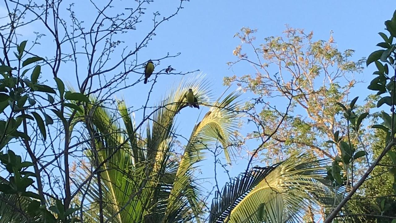 Villa Tortugas Akumal Esterno foto