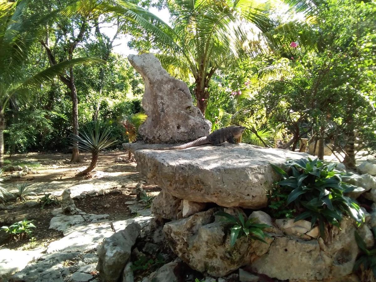 Villa Tortugas Akumal Esterno foto